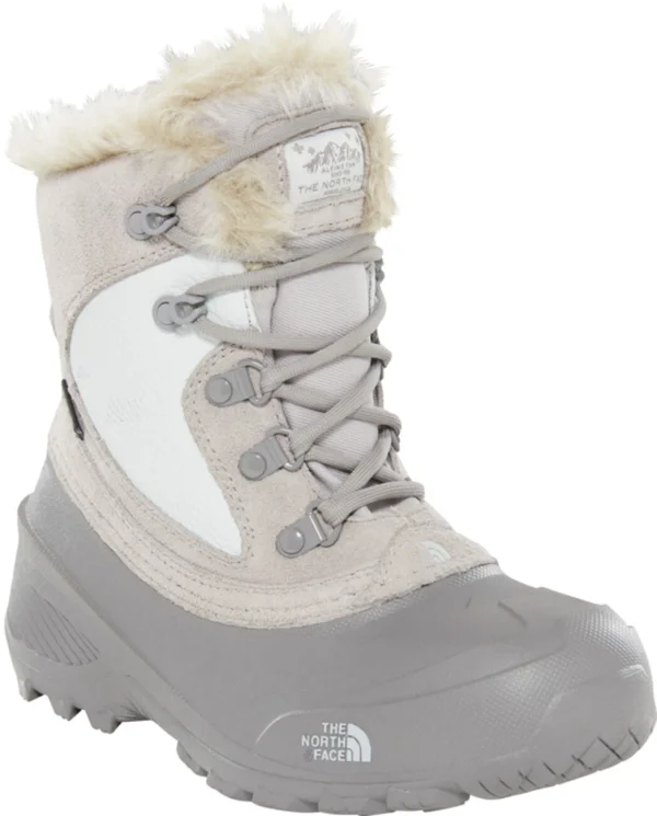 Nouveau ✔️ BOTTES Ski Enfant THE NORTH FACE SHELLISTA EXTREME 😍 3